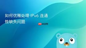 如何优雅处理 IPv6 连通性缺失问题