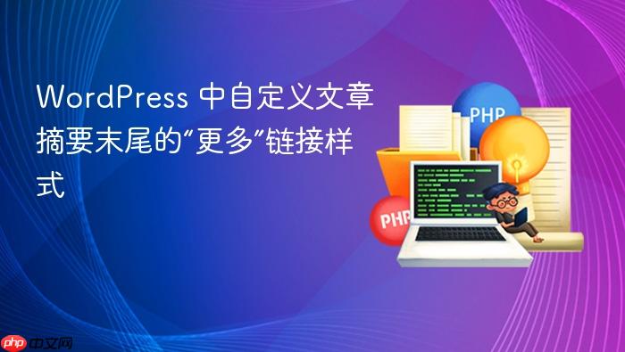 WordPress 中自定义文章摘要末尾的“更多”链接样式
