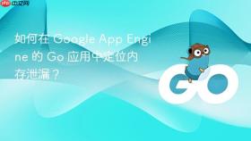 如何在 Google App Engine 的 Go 应用中定位内存泄漏?