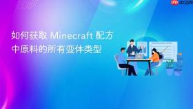 如何获取 Minecraft 配方中原料的所有变体类型
