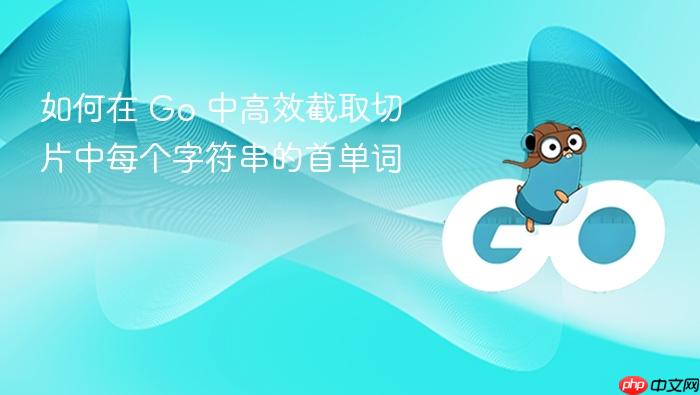 如何在 Go 中高效截取切片中每个字符串的首单词

