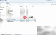 MySQL数据导入导出指南