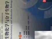十科联考高效复习指南