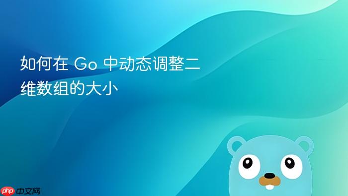 如何在 Go 中动态调整二维数组的大小