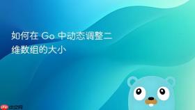 如何在 Go 中动态调整二维数组的大小