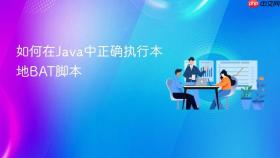 如何在Java中正确执行本地BAT脚本
