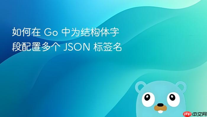 如何在 Go 中为结构体字段配置多个 JSON 标签名
