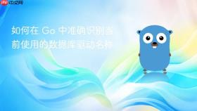 如何在 Go 中准确识别当前使用的数据库驱动名称
