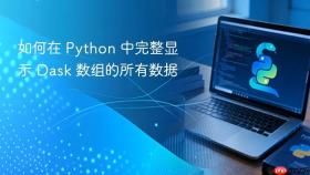 如何在 Python 中完整显示 Dask 数组的所有数据