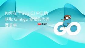 如何在 Travis CI 中正确获取 Ginkgo 测试的代码覆盖率
