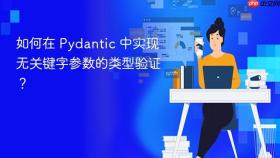 如何在 Pydantic 中实现无关键字参数的类型验证?