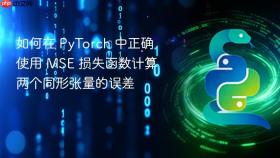 如何在 PyTorch 中正确使用 MSE 损失函数计算两个同形张量的误差