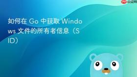 如何在 Go 中获取 Windows 文件的所有者信息（SID）
