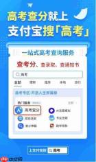 高考查分用什么查