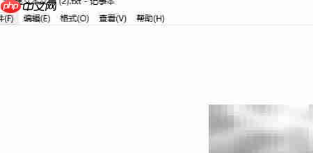 txt文件文字放大方法