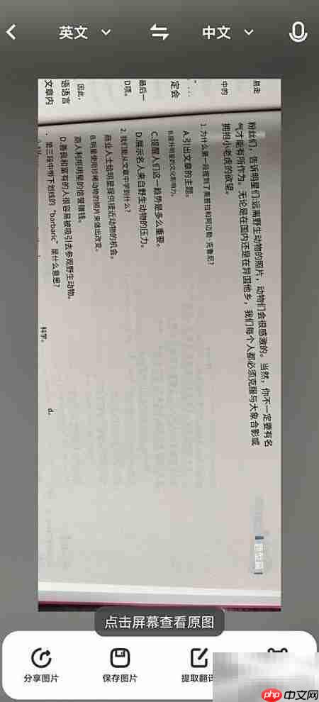 vivo手机翻译小工具使用指南