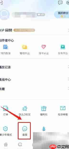 中国蓝TV在线客服联系方式