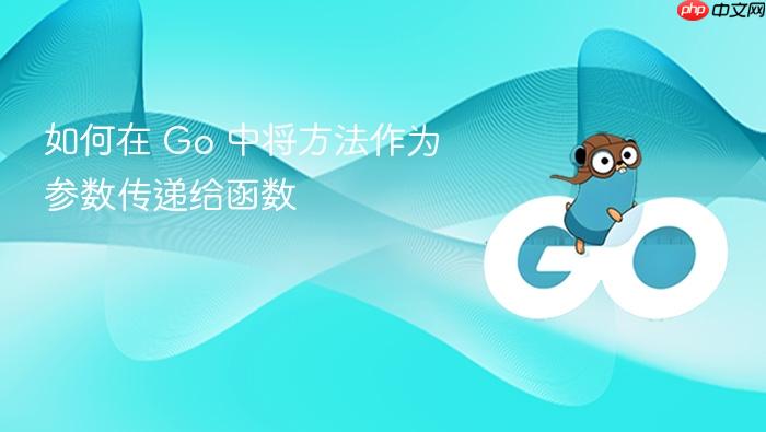 如何在 Go 中将方法作为参数传递给函数