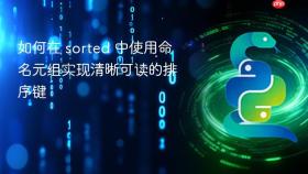 如何在 sorted 中使用命名元组实现清晰可读的排序键