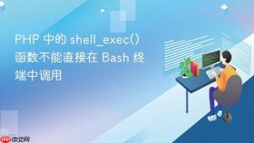 PHP 中的 shell_exec() 函数不能直接在 Bash 终端中调用