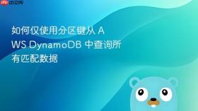 如何仅使用分区键从 AWS DynamoDB 中查询所有匹配数据
