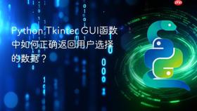 Python Tkinter GUI函数中如何正确返回用户选择的数据？
