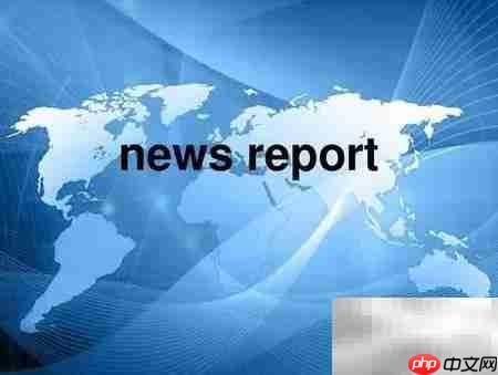 report是什么意思