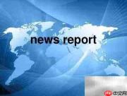 report是什么意思