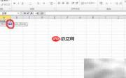 Right函数使用方法详解