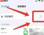 苹果手机首通来电总占线?
