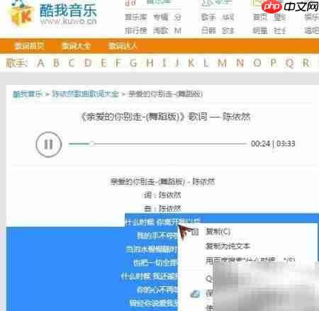 Camtasia制作MV同步字幕