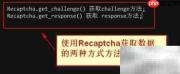 reCaptcha 3.0验证码使用指南