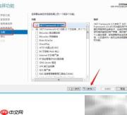 Windows Server安装.NET 3.5指南