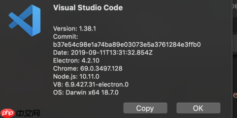 Visual Studio Code如何只在特定目录搜索