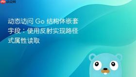 动态访问 Go 结构体嵌套字段:使用反射实现路径式属性读取