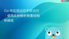 Go 中实现动态字段访问:使用反射解析嵌套结构体路径