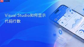 visual studio如何显示代码行数
