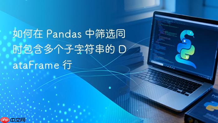 如何在 Pandas 中筛选同时包含多个子字符串的 DataFrame 行