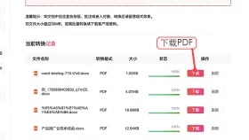 Word转PDF后图片模糊怎么办?用极轻PDF转换前后这样检查