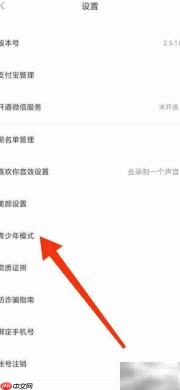 如何开启处电青少年模式