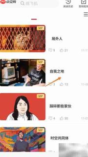冥想中播放自我之地方法