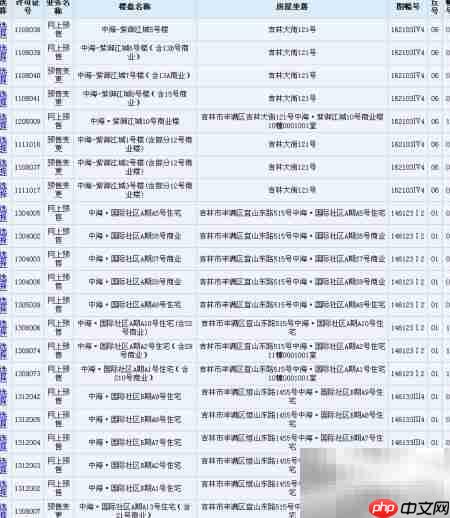 吉林市预售证查询指南
