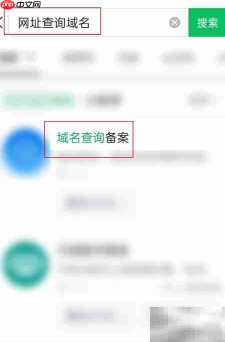 网址查域名:一键解析