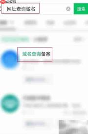 网址查域名：一键解析