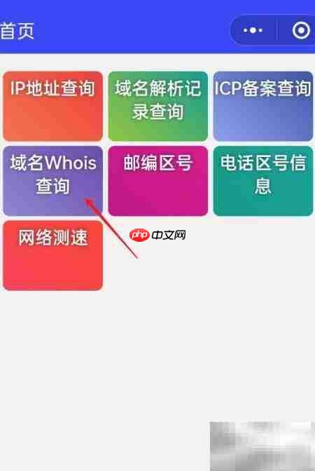网址查域名:一键解析