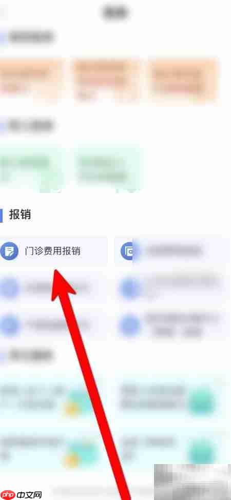 门诊特病办理流程指南