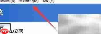 百惠销售单恢复默认设置