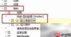 SAP PS中ProMan参数文件定义