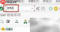 SAP PS中ProMan参数文件定义