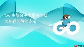 Go 中复合字面量类型缺失错误的解决方法